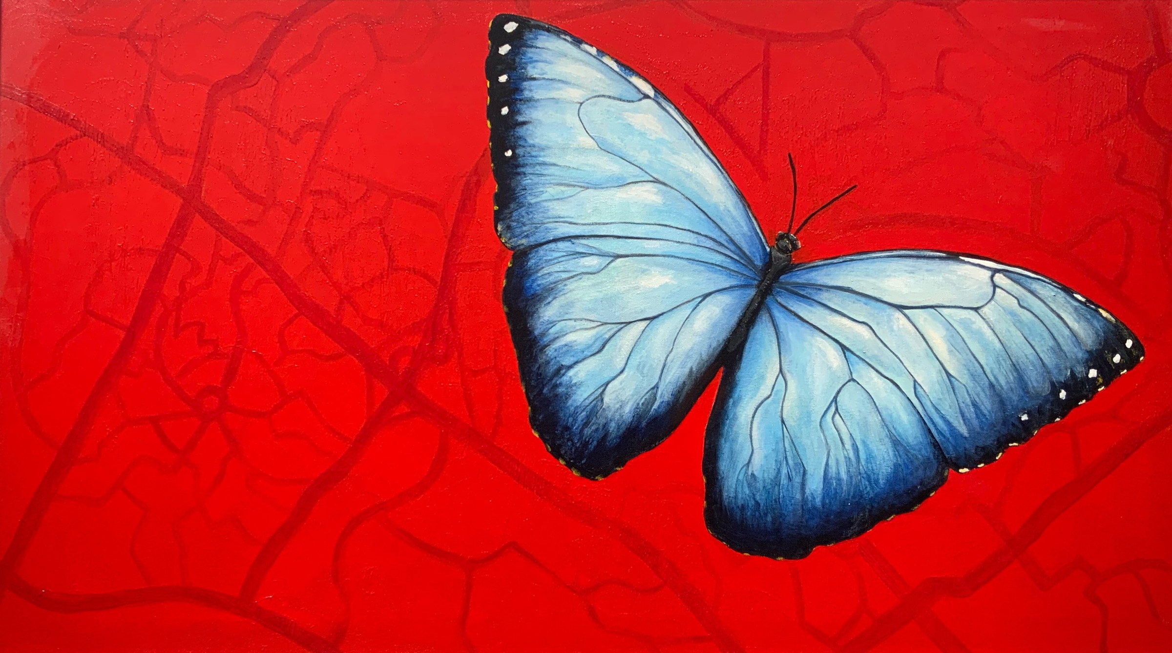 Pale blue butterfly opened against a vivid red field in a dark frame.