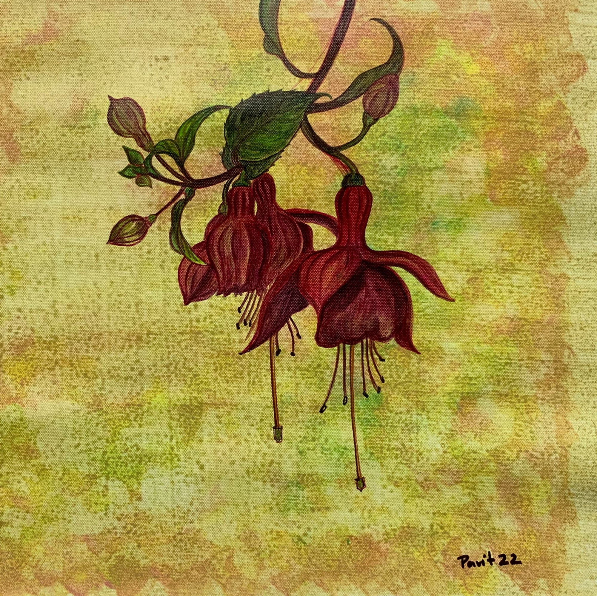 Deep red fuchsia flowers hanging against a softly textured pale ground.
